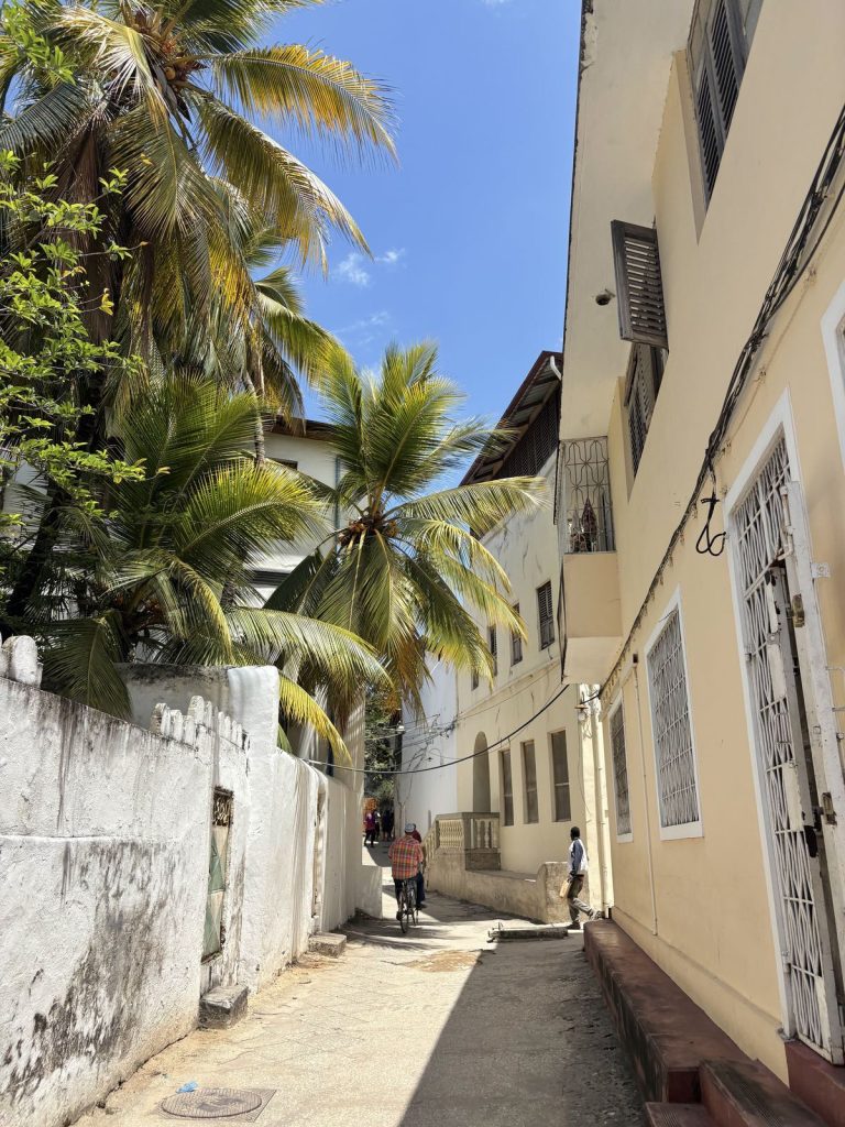 Exploring Stone Town using car rental in Zanzibar with airport delivery price
