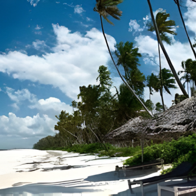 Zanzibar Tours and Excursions