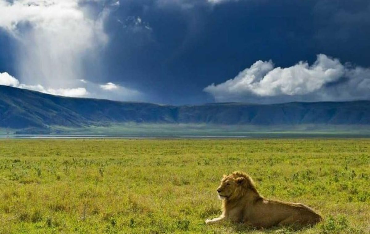 Ngorongoro Crater Tanzania Big Five game drive safari from Zanzibar
