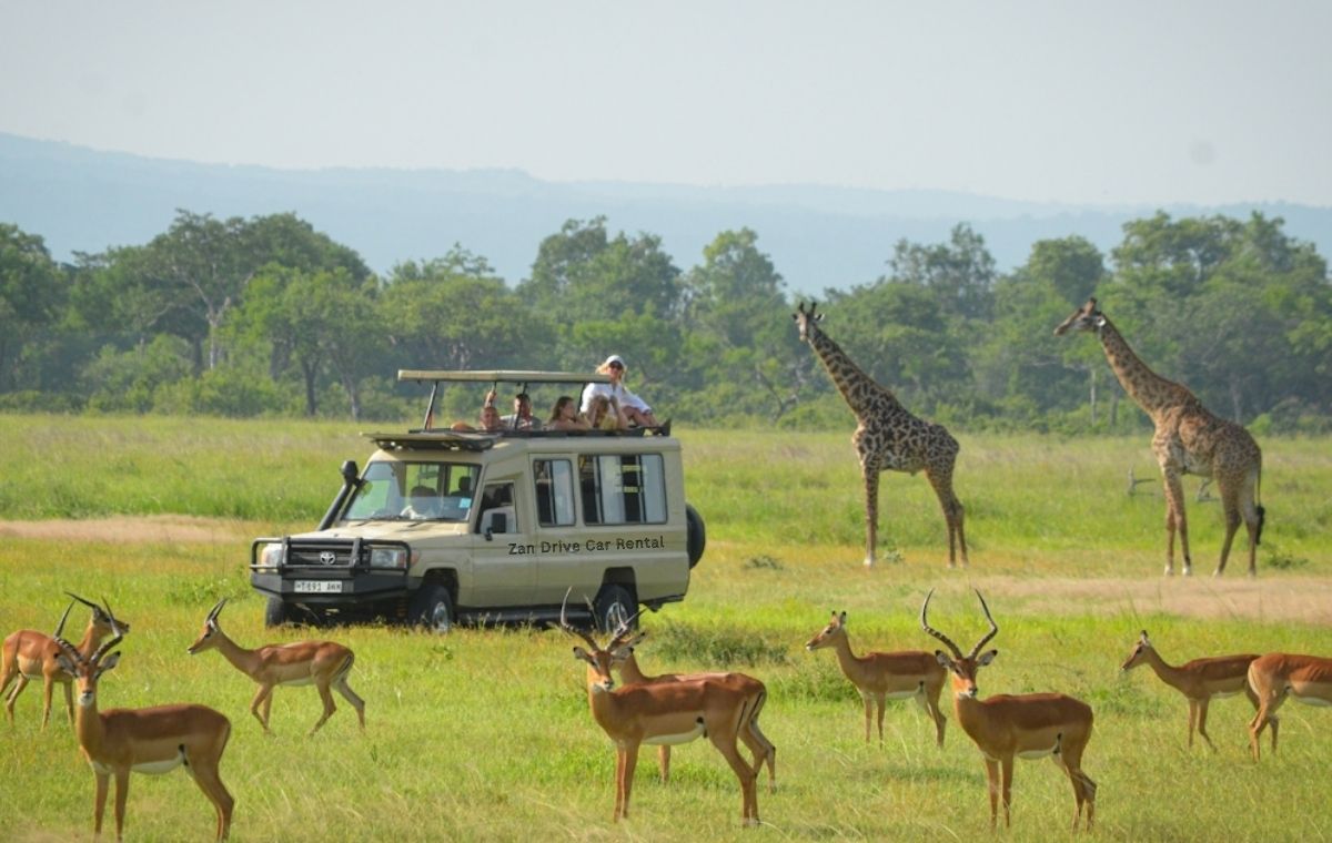Safari from Zanzibar - wildebeest on the Serengeti plains Tanzania