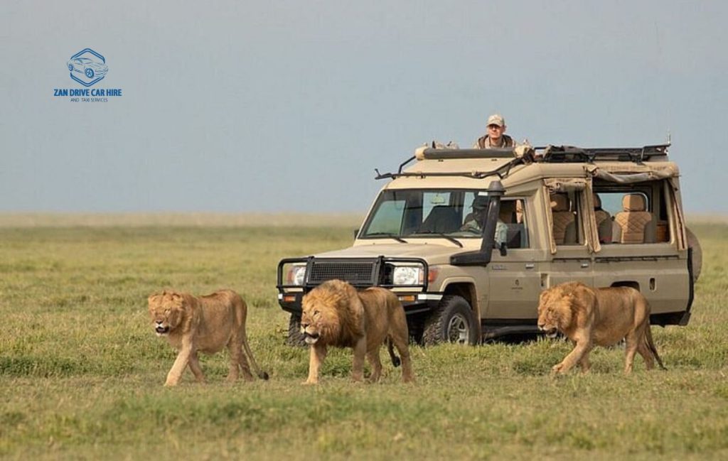 Wildlife Tour Package Zanzibar with guide 2026