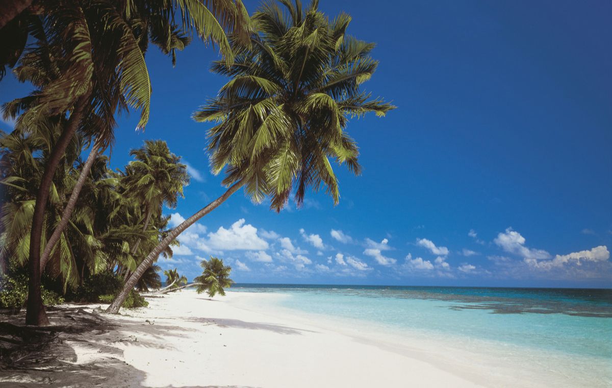 Car Rental Matemwe Zanzibar