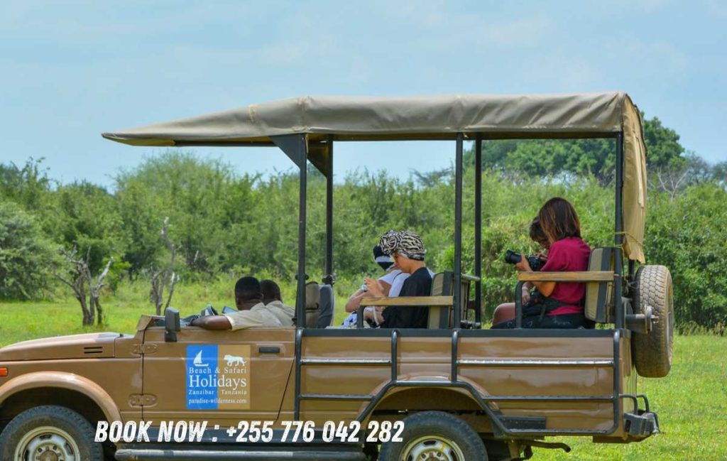 Best Scenic Drives in Zanzibar by Rental Car