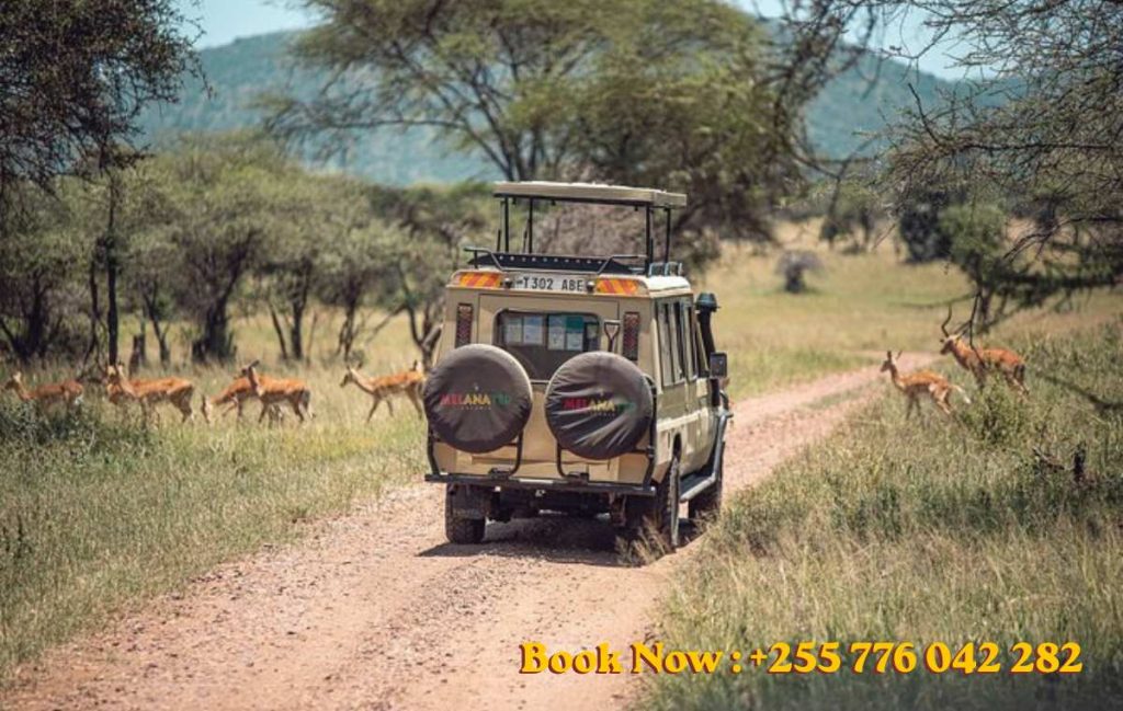 10 Best Scenic Drives in Zanzibar by Rental Car