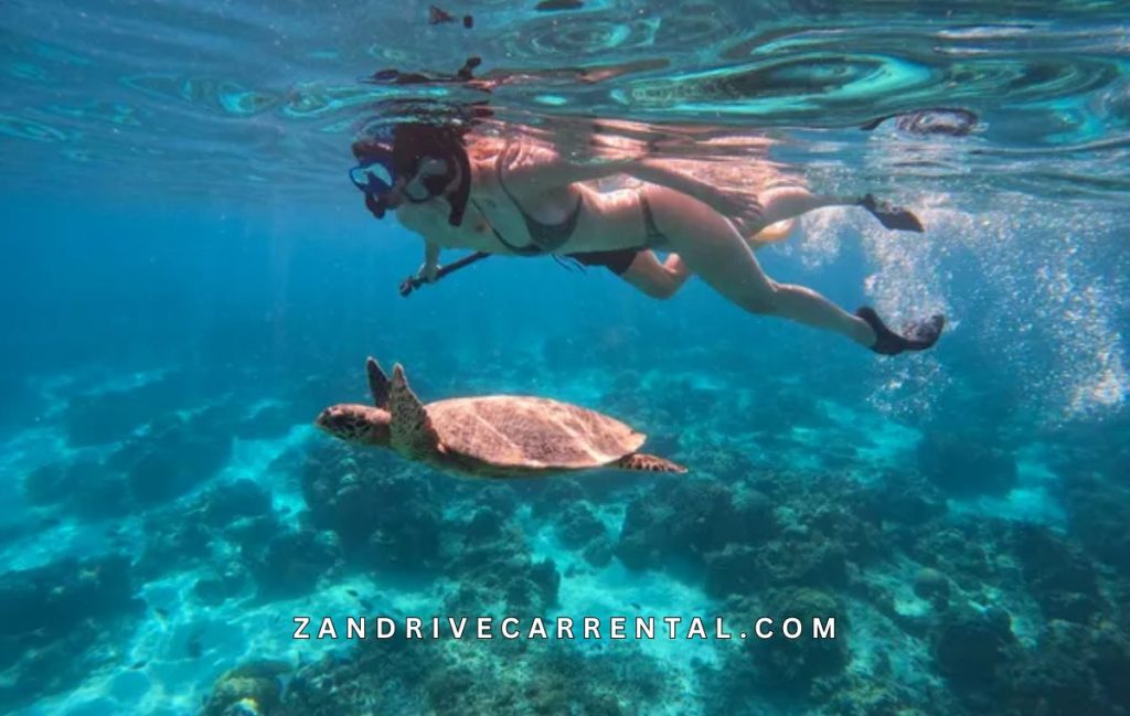 Nakupenda Beach Zanzibar Snorkeling Tour Zanzibar