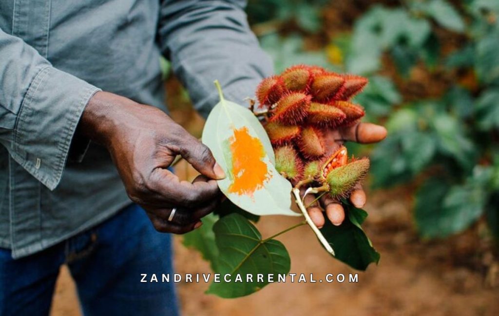 Kizimbani Spice Tour Zanzibar 2026 - Zanzibar Spice Farm