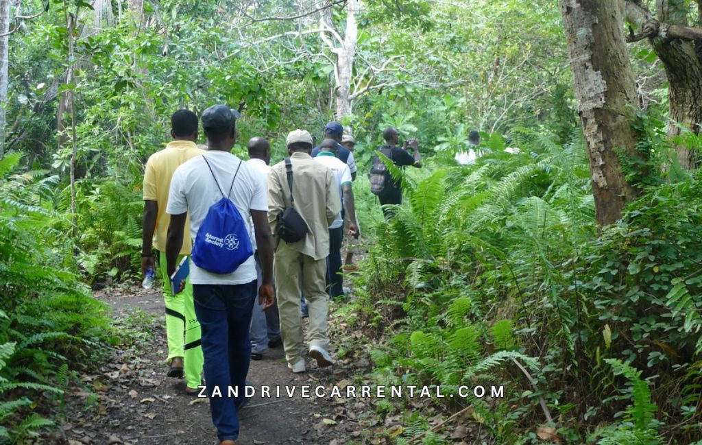 Jozani Forest Zanzibar Tour with guide - entrance to Jozani Chwaka Bay National Park