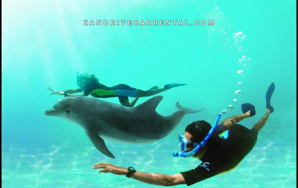 Kizimkazi Zanzibar Beach Snorkeling Tour with Local Guide