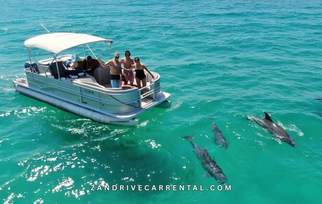 Kizimkazi Dolphin Tour with Local Guide