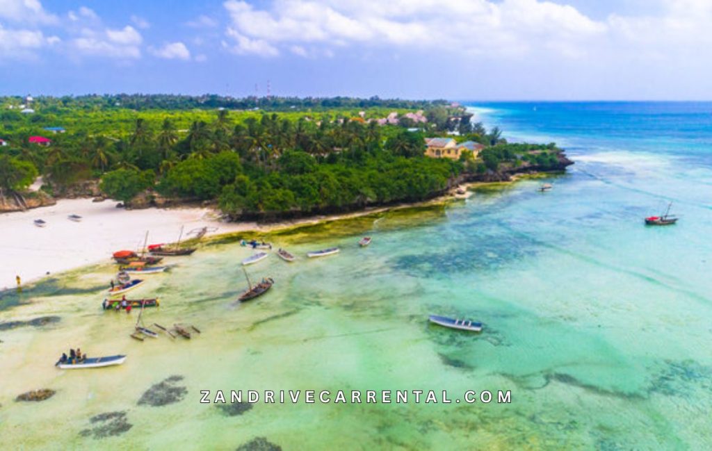 Kizimkazi Beach Zanzibar Tour Guide 2026
