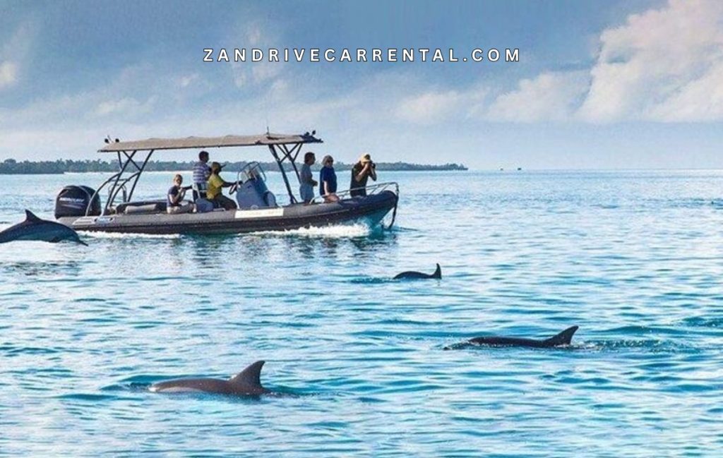 Mnemba Atoll Tour Combined with Kizimkazi Dolphin Tour in Zanzibar