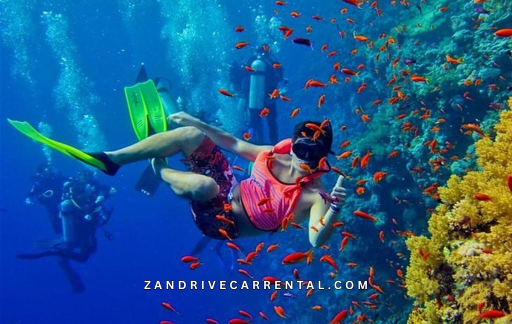 Mnemba Atoll Snorkeling Tour Zanzibar