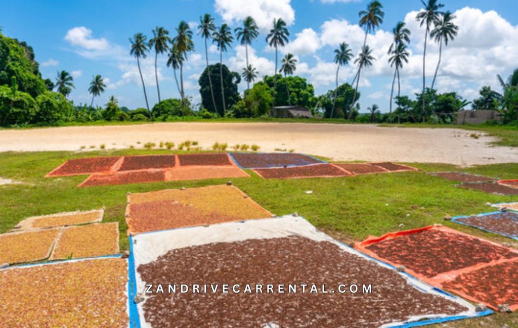 Spice Farm Tour Zanzibar - Spice Farm Walking Tour Zanzibar