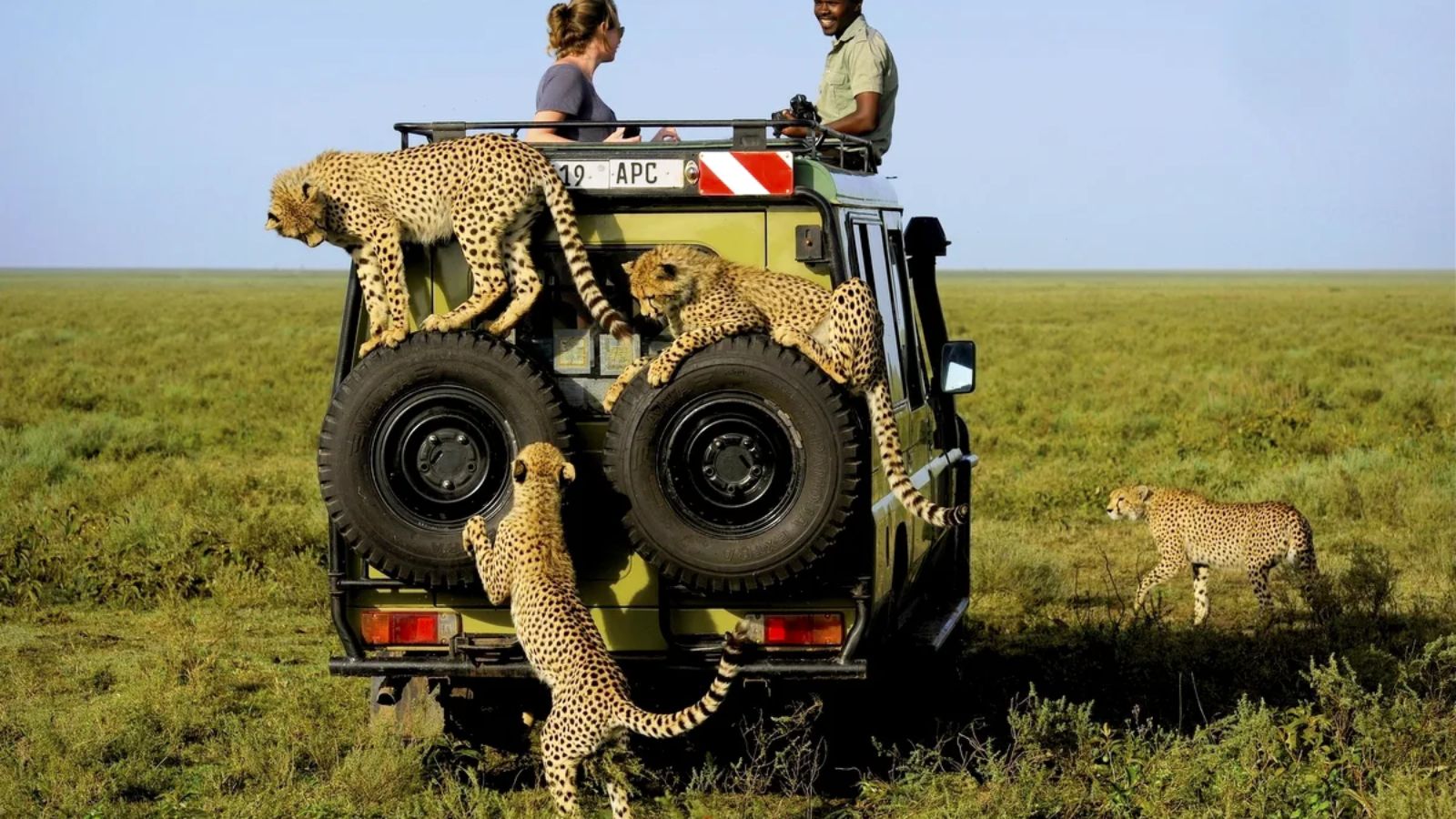 4x4 safari vehicle on a mainland Tanzania safari route near Serengeti National Park