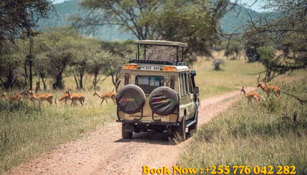 10 Best Scenic Drives in Zanzibar by Rental Car