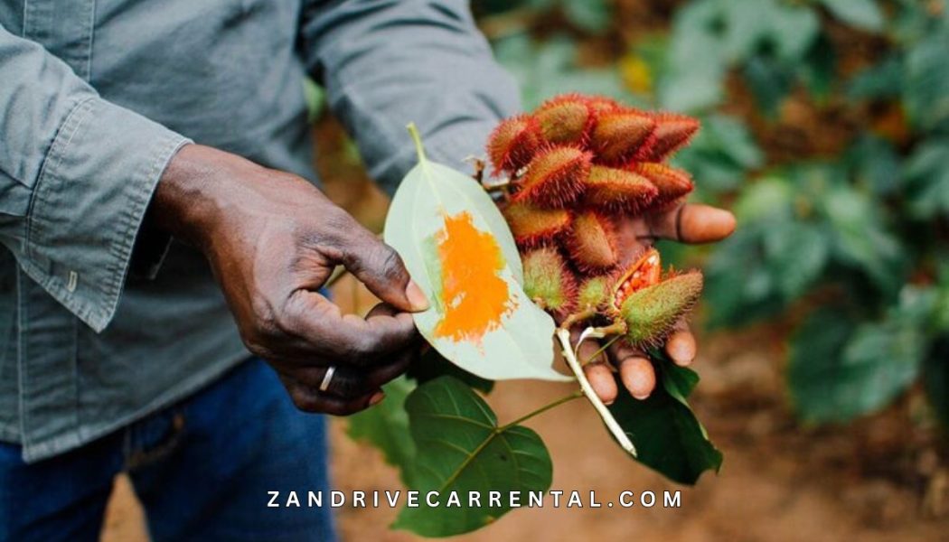 Kizimbani Spice Tour Zanzibar 2026 - Zanzibar Spice Farm