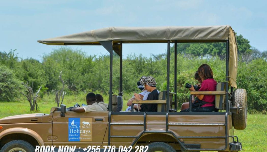 Cost to Rent a Car in Zanzibar