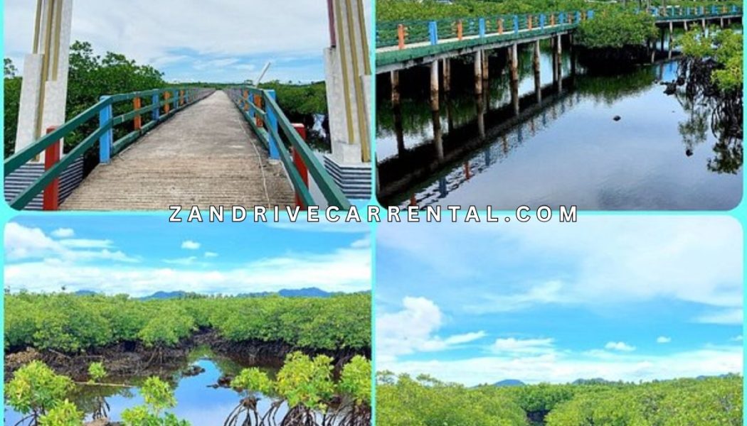 Mangrove boardwalk walk inside Jozani Forest Zanzibar National Park