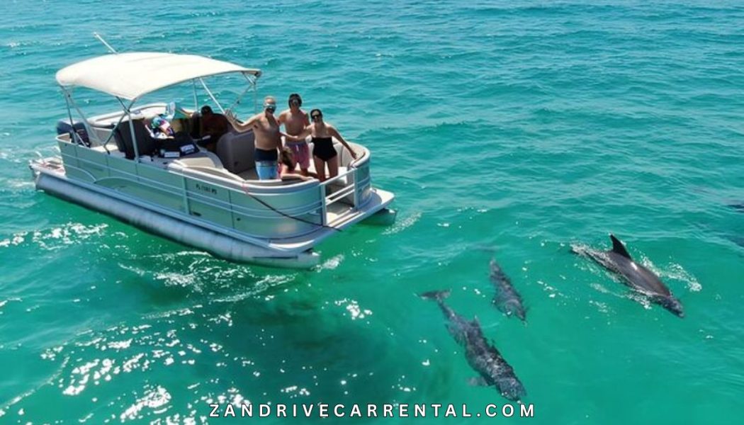 Kizimkazi Dolphin Tour with Local Guide