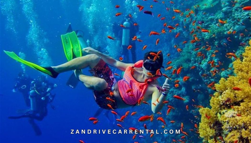 Mnemba Atoll Snorkeling Tour Zanzibar